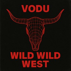 Wild Wild West