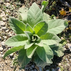 Hands Down by Greeting Committee