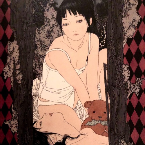 beta orbiter xo_willow cover