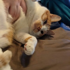 sick ass instrumentals