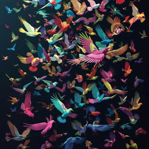 A Flock of Dreams