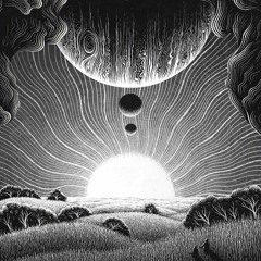 Cosmik Brothers - Into The Woods - Spiritual Reality