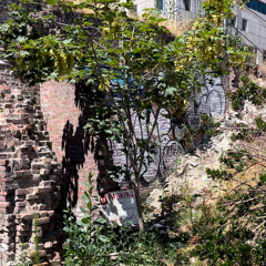 women i trust [improvisation].mp3