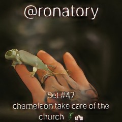 Set #47 | chameleon take care of the church 🦎⛪️