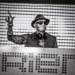 Zzi03 - Organic House @Disorient Camp - Burning Man 2024