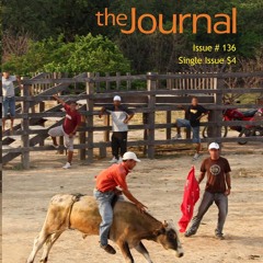 the Journal Issue 136 - Recognizing Red Flags