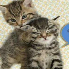 más muerto q vivo  (ﾒ﹏ﾒ)  prod kizdize2004