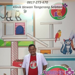 0817-273-670 Praktek Dokter Hewan Pondok Aren Tangerang Selatan, Rambad Vet Clinic