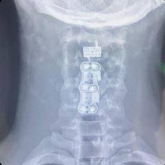 Won’t go for Nothing -VA To NY