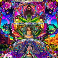 MARIA SANTA THC