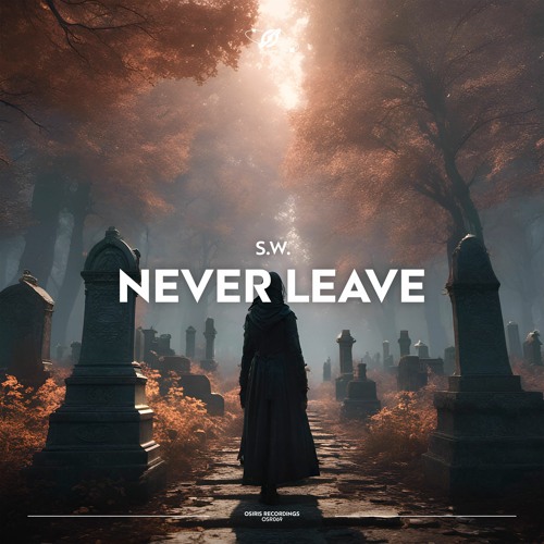 S.W. - Never Leave (Extended Mix)