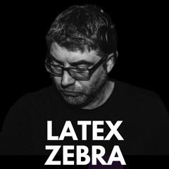 025 Progsonic Sessions- Latex Zebra
