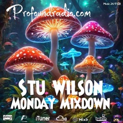 #253 Profound Radio Progressive House @djstuwilson
