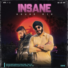 Insane House Remix