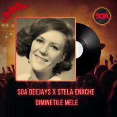 Stela Enache - DIMINETILE MELE (Radio Mix)