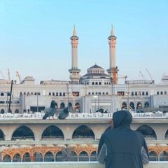 رَبِّ نَجِّنِي | تلاوة طيبة من سورة القصص | القارئ أحمد كراوية