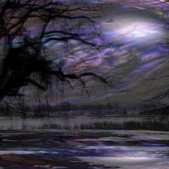 Into the Night