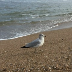 A Part of / Apart From