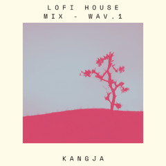 Lofi House Mix - WAV.1