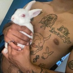 nekogrind - oh my woeeee