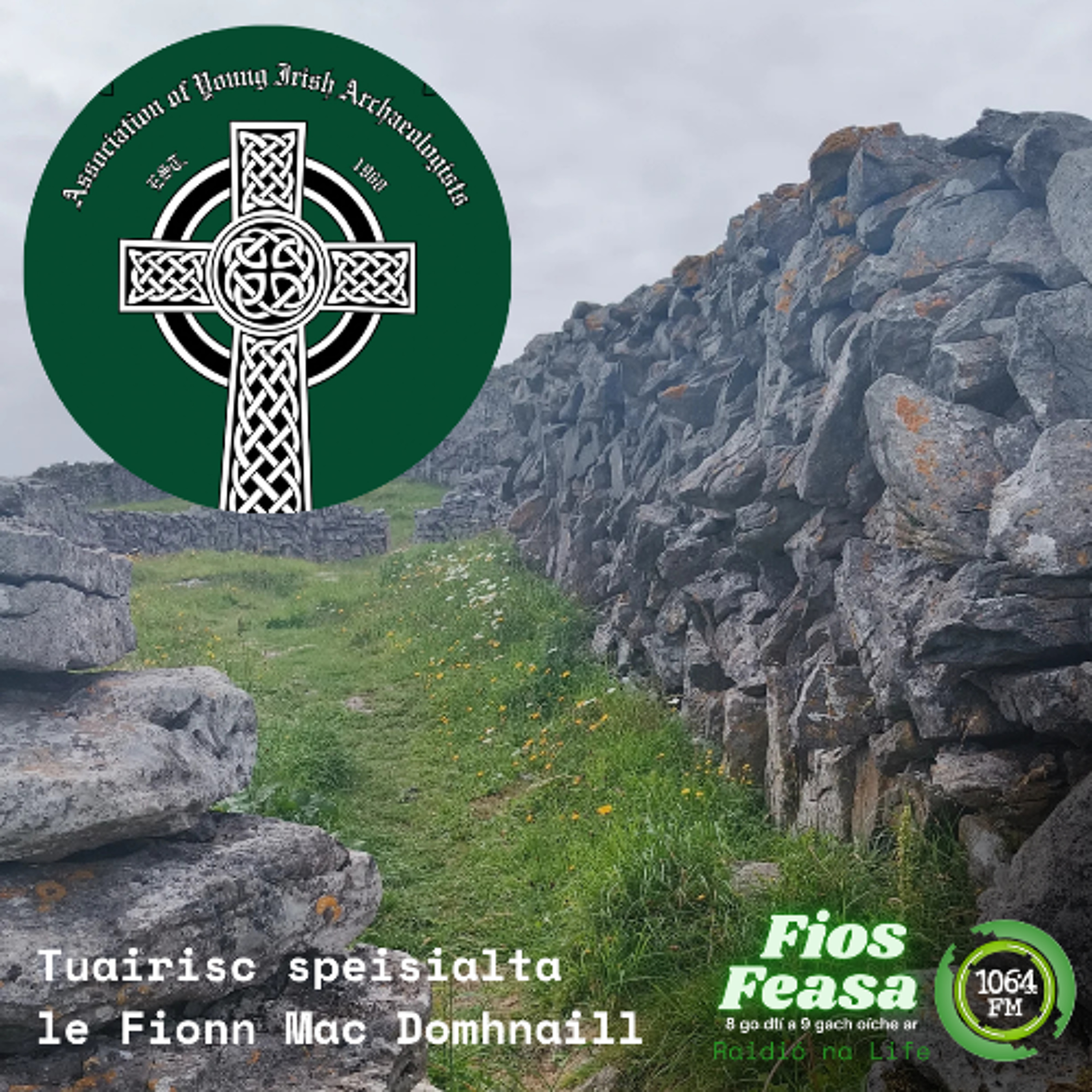 Fionn Mac Domhnaill - Comhdháil Chumann Seandálaithe Óga (AIYA) 2026 episode artwork