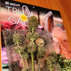 Neon Steve & Black Caviar - Drug Test ft. Tima Dee