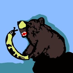 sy - Bear