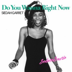 Do You Wanna Right Now - Siedah Garret (Sedanosaurio Edit)