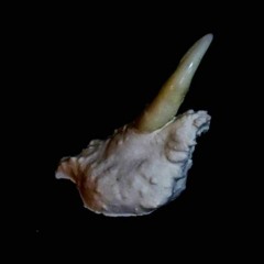 Glass Vibration Tension