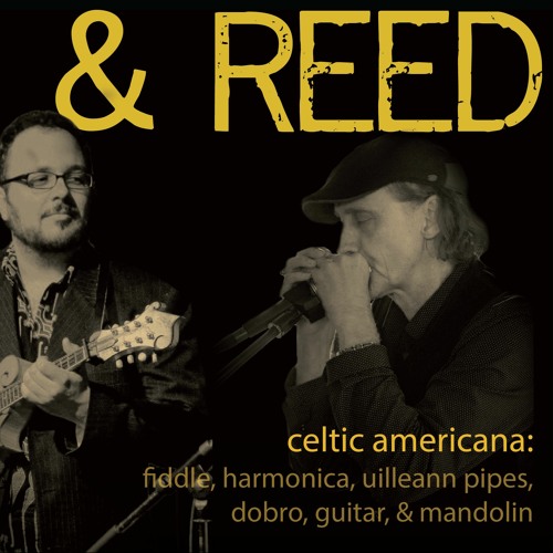 Stream Foxhunter's Slip Jig by Jan Songs Listen online for free on