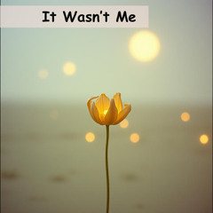 It Wasn’t Me