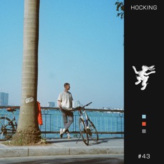 MBE #43: Hocking •