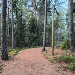 a not boring running mix (168 BPM)