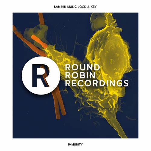 DHSA Premiere: Laminin Music - Lock & Key (Original Mix)
