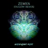Entangled Mind & Amalgamy - Zemya (Faelow Remix)