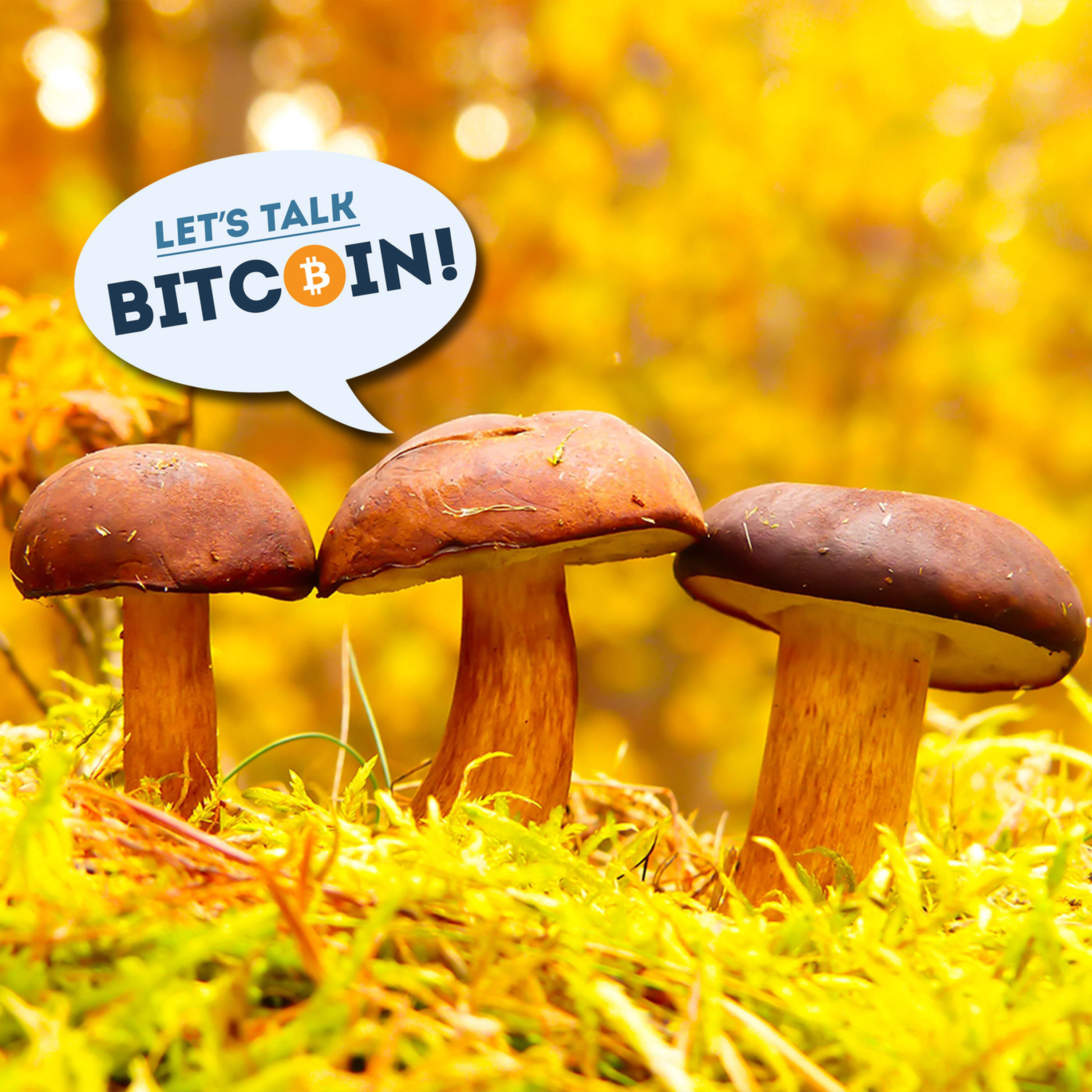 LTB!: Decentralization Philosophy Part 2 - Does Crypto Still Need Catalysts?
