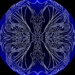 2C - FIRST KICKS Ft s-ophie