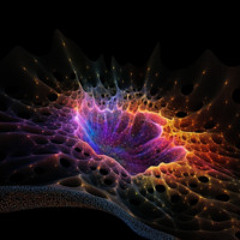 Symbiosis