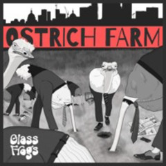 Ostrich Farm