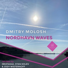 Nordhavn Waves (IMGFriend Remix)