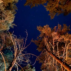 kostromin   Люли