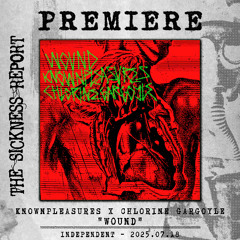 PREMIERE | KNOWNPLEASURES x Chlorine Gargoyle - Wound