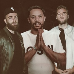 Wildstylez & Showtek - Favorite Song (Sigit Anw Remake)