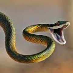 Leirom@Noche De Culebrillas