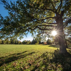 Joelle Dori Chandler