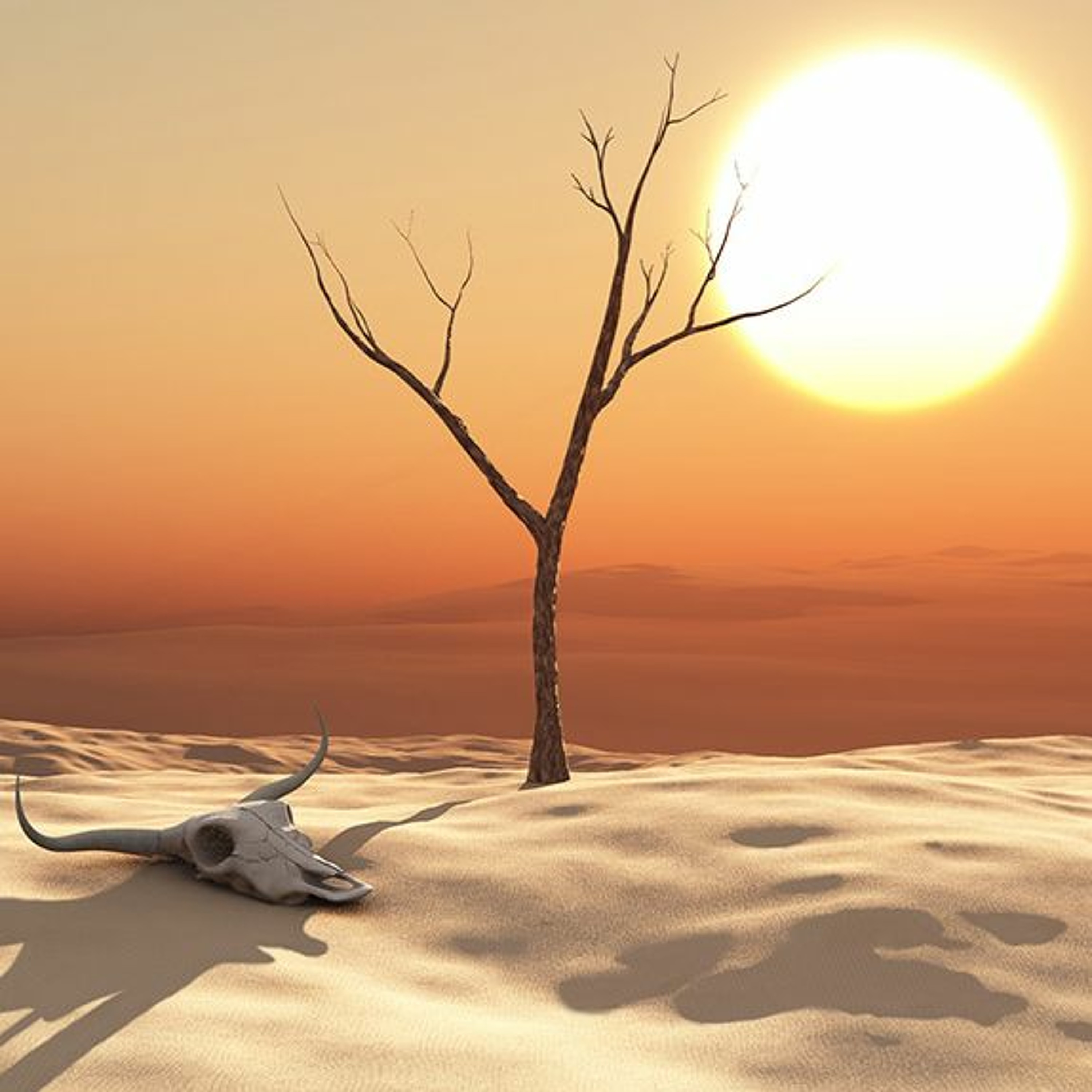 Desert Sun episode artwork