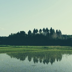 YACHIMATA_210510