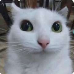 need2needu p donotdisturbgov