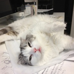 rew - yung and writing