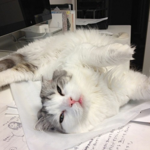 rew - yung and writing